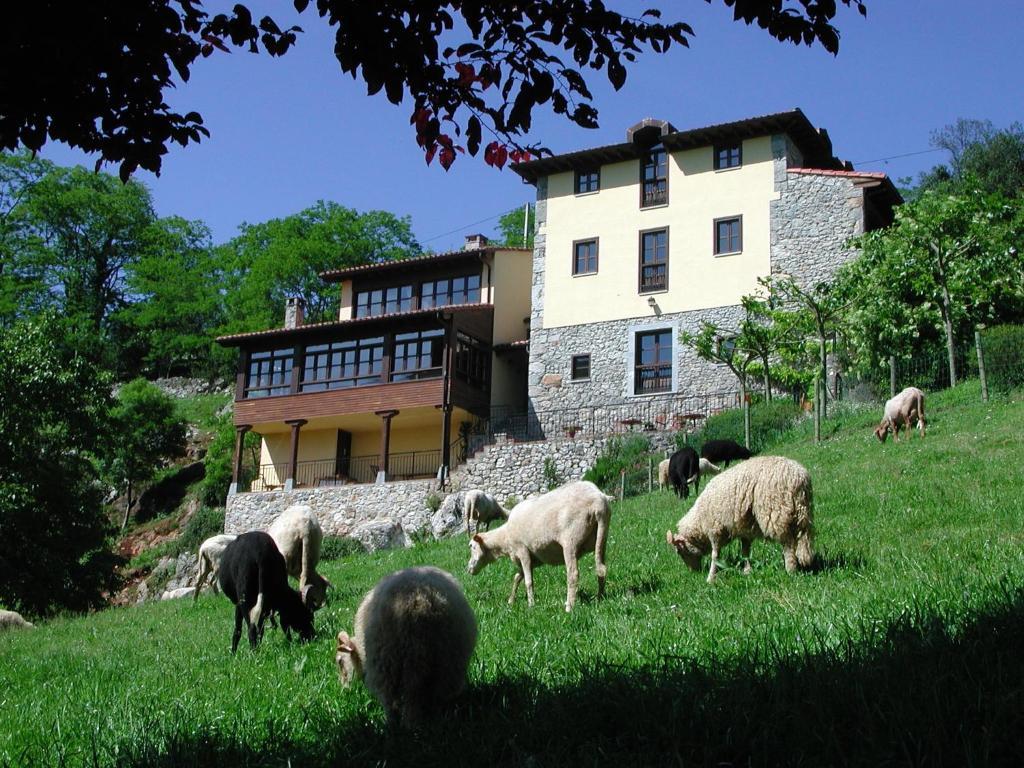 Hotel Posada Del Valle Collia Luaran gambar