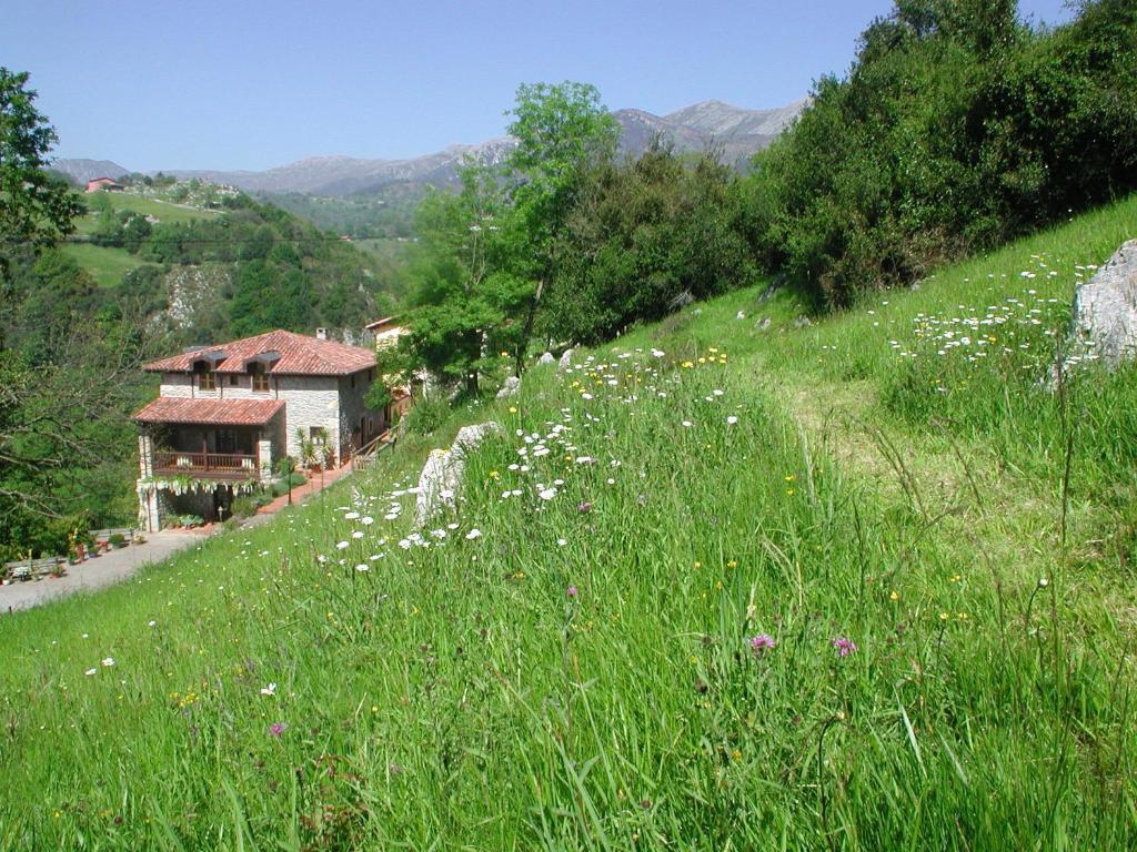 Hotel Posada Del Valle Collia Luaran gambar